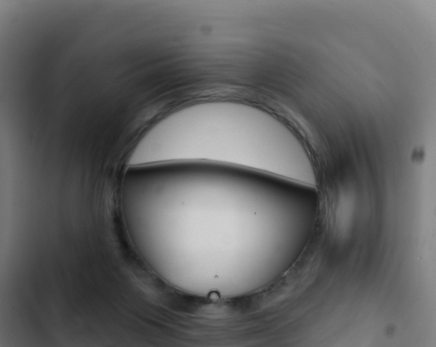 X0000103440119200809121111