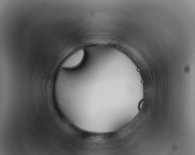 X0000103440120200809121111