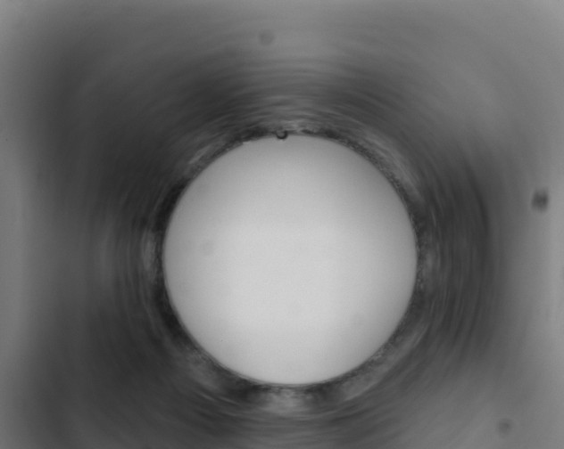 X0000103440121200809121111