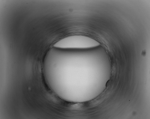X0000103440122200809121111