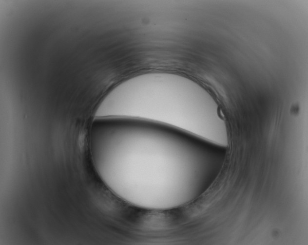 X0000103440123200809121111