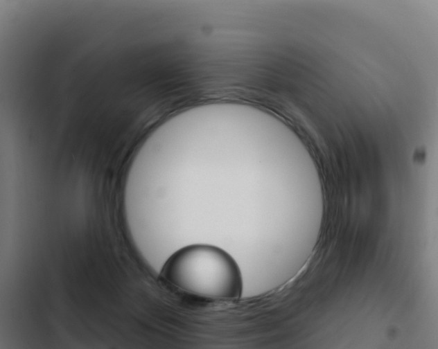 X0000103440124200809121111