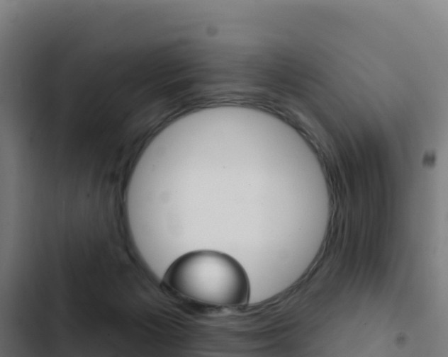 X0000103440125200809121111