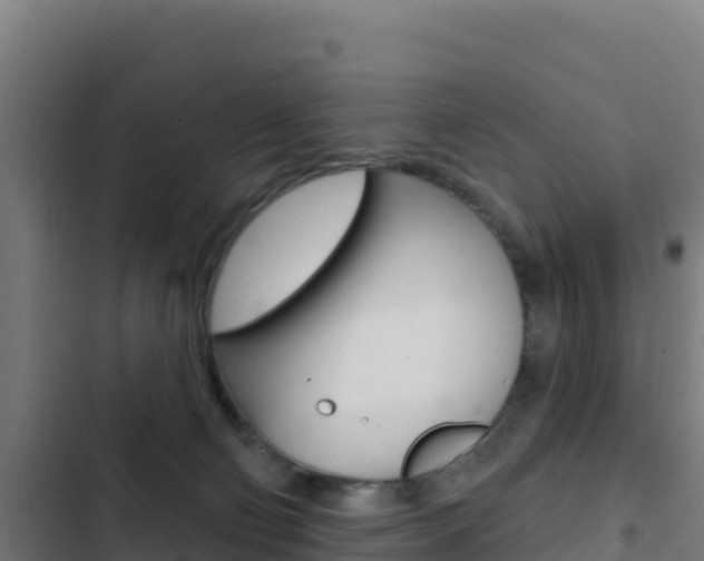 X0000103440130200809121111