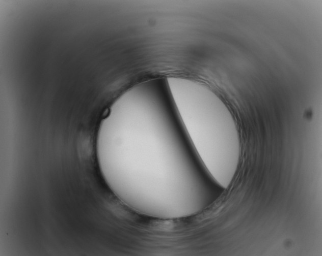 X0000103440131200809121111