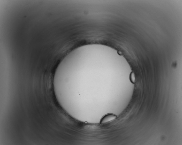 X0000103440133200809121110