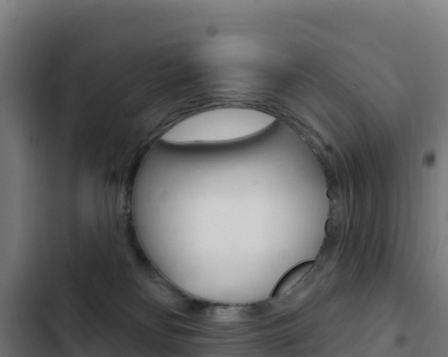 X0000103440134200809121110