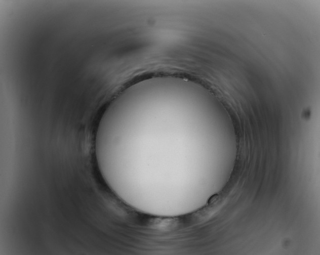 X0000103440135200809121110