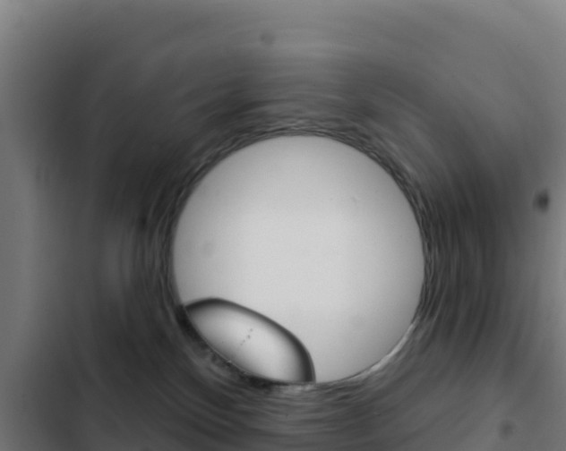 X0000103440136200809121110