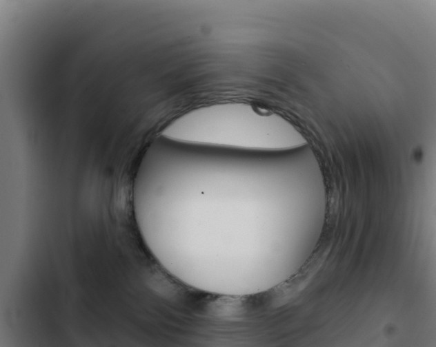 X0000103440138200809121110