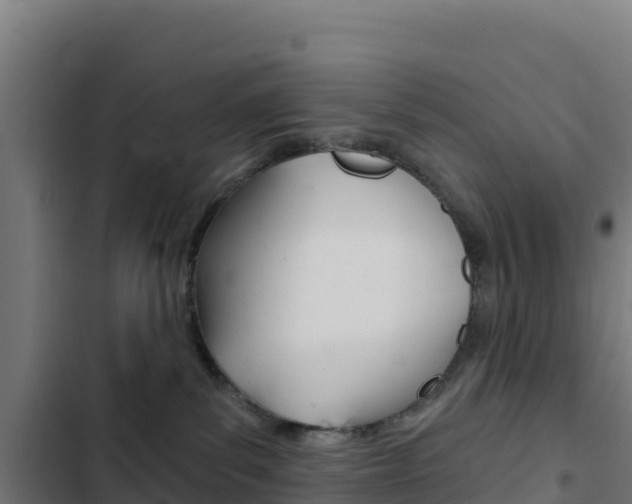 X0000103440139200809121110