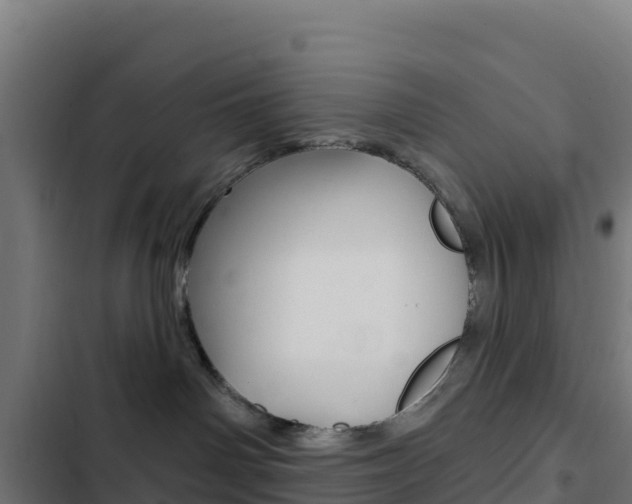 X0000103440142200809121110