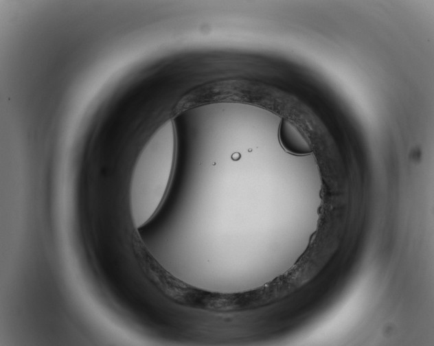 X0000103440143200809121110