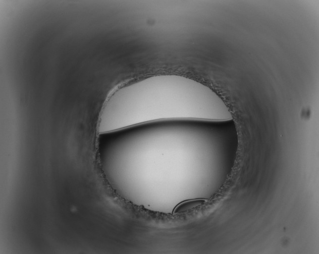 X0000103440144200809121110