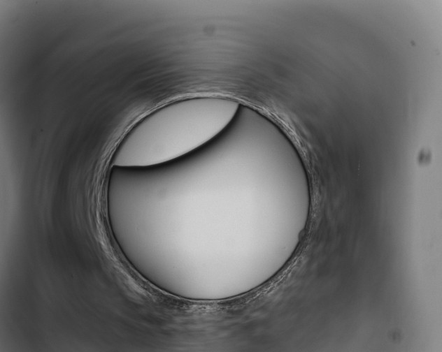 X0000103440145200809121110