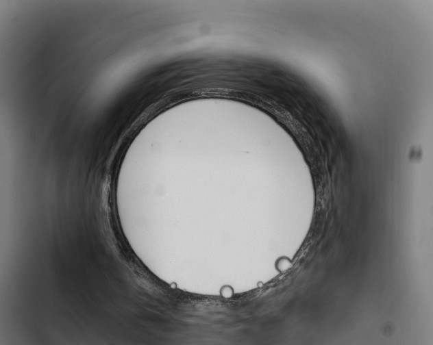 X0000103440146200809121110