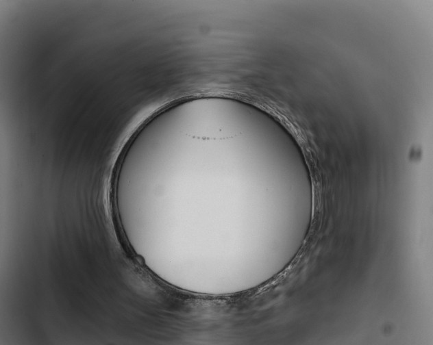 X0000103440147200809121110