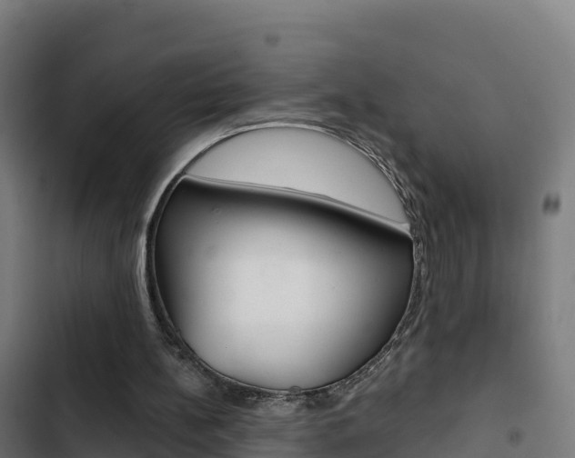 X0000103440148200809121110