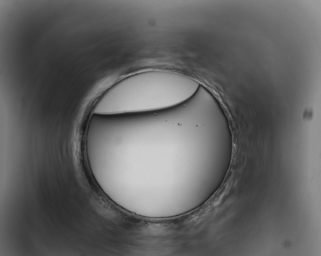 X0000103440149200809121110