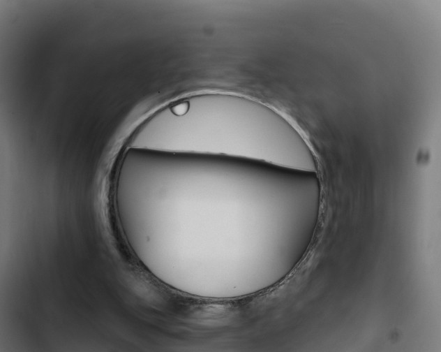 X0000103440151200809121110