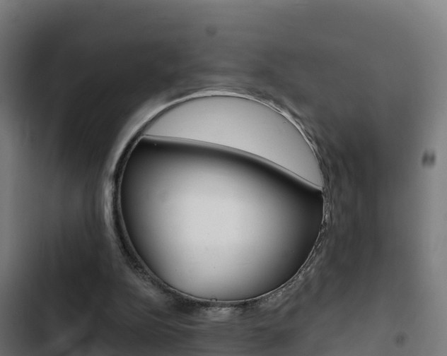 X0000103440152200809121110