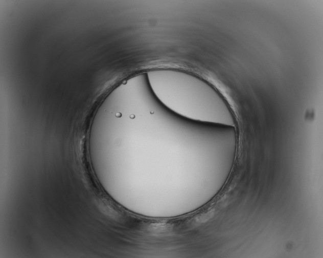 X0000103440153200809121110