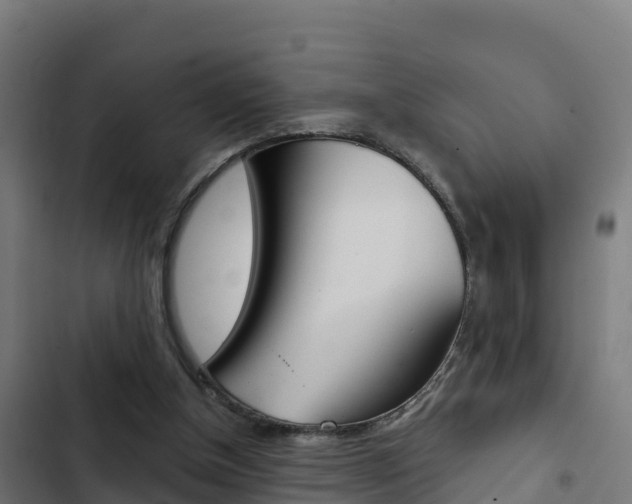 X0000103440154200809121110