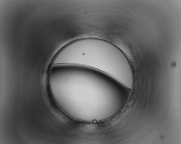 X0000103440156200809121110