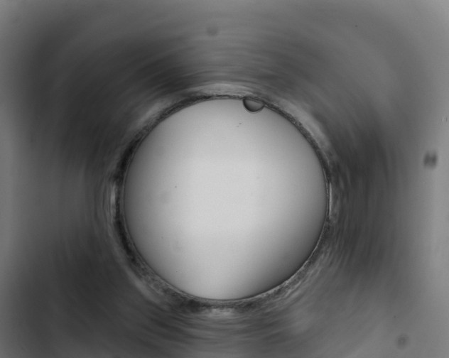 X0000103440157200809121110
