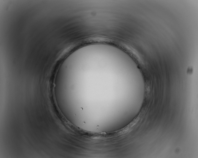 X0000103440158200809121110