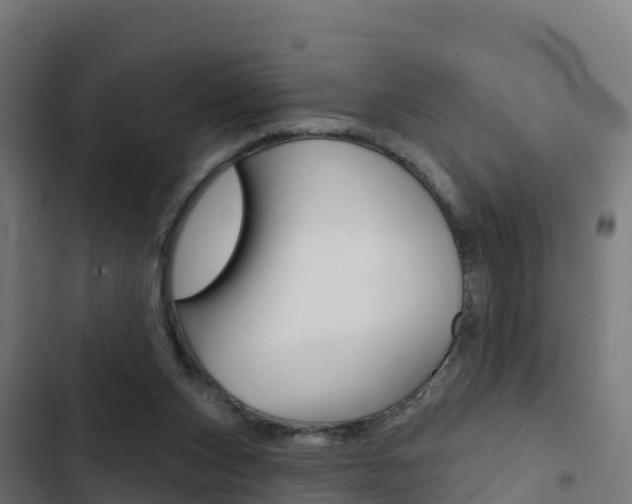 X0000103440159200809121110