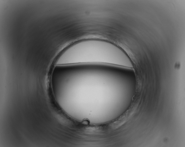 X0000103440160200809121110