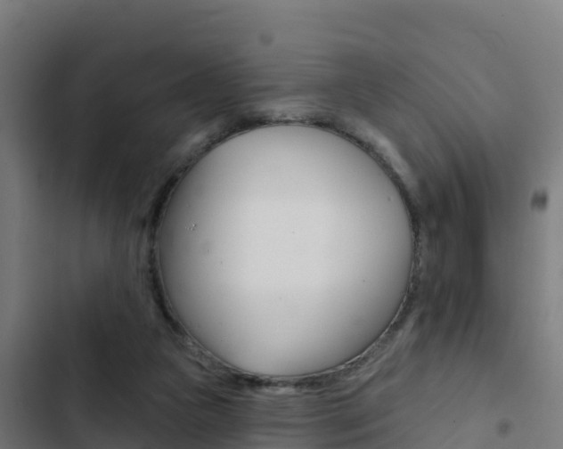 X0000103440161200809121110