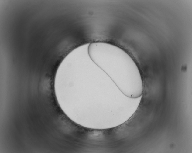 X0000103440162200809121110