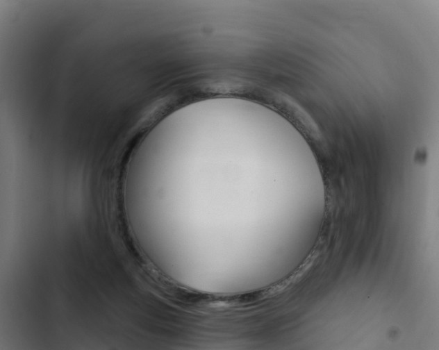 X0000103440163200809121110