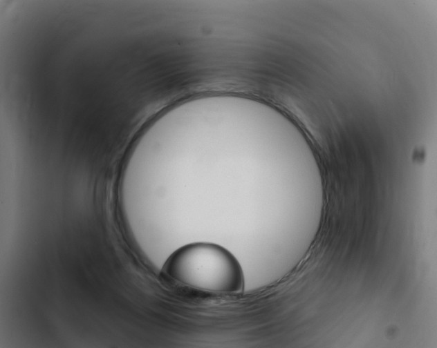X0000103440164200809121110
