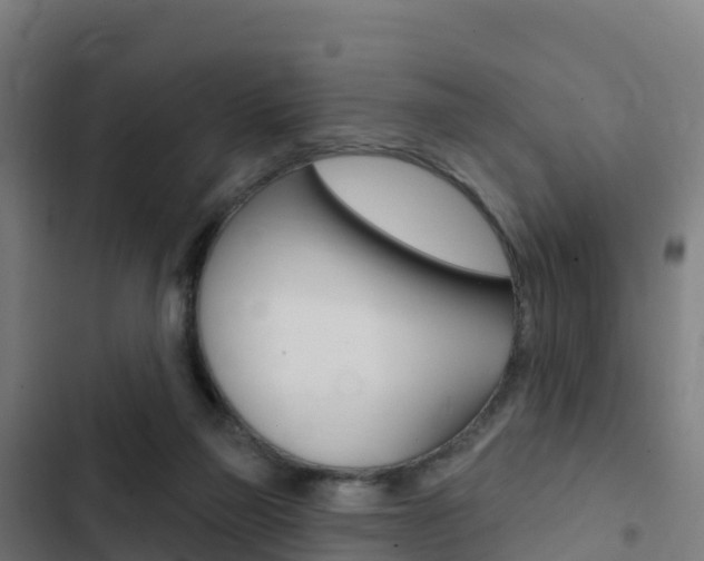 X0000103440165200809121110
