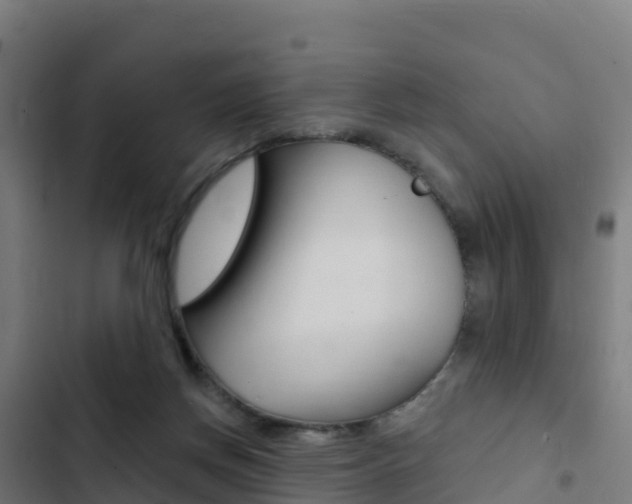 X0000103440166200809121110