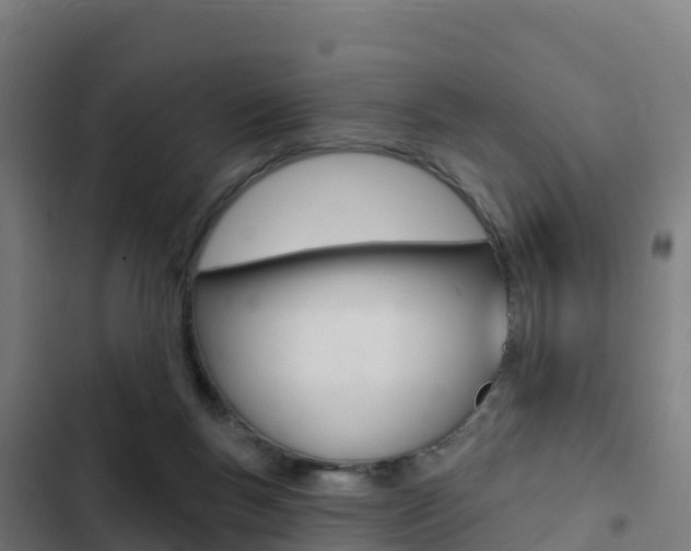 X0000103440167200809121110
