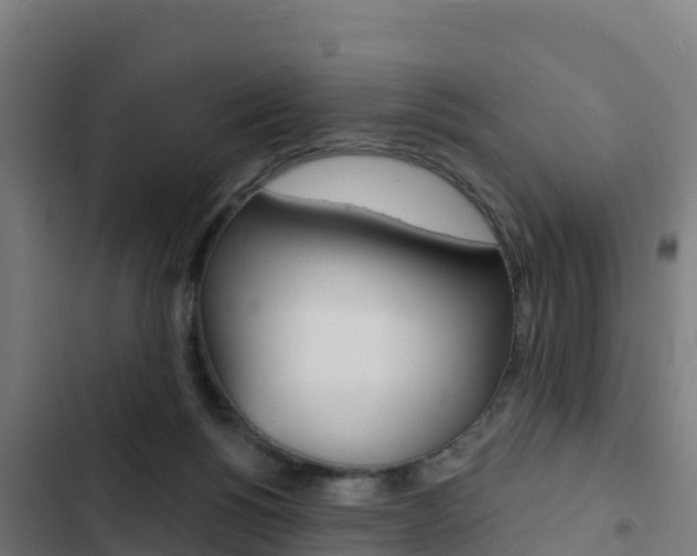 X0000103440168200809121110