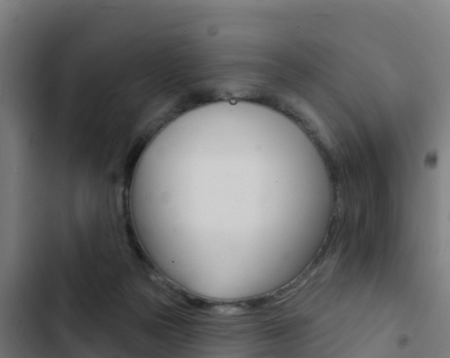 X0000103440169200809121110