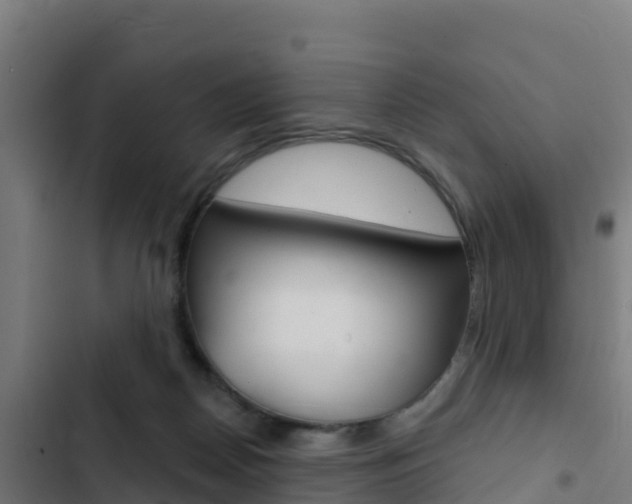 X0000103440170200809121110