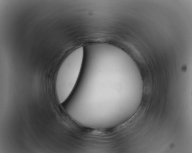 X0000103440171200809121110