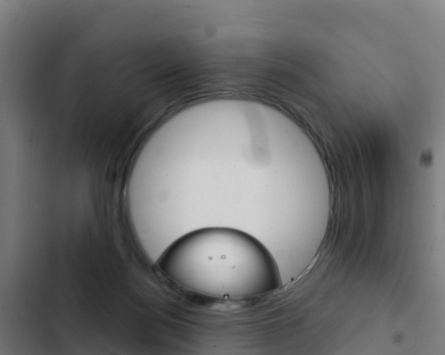 X0000103440172200809121110