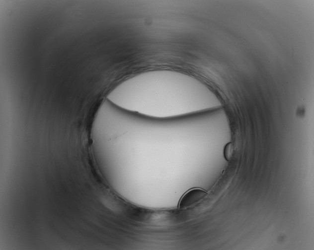 X0000103440173200809121110