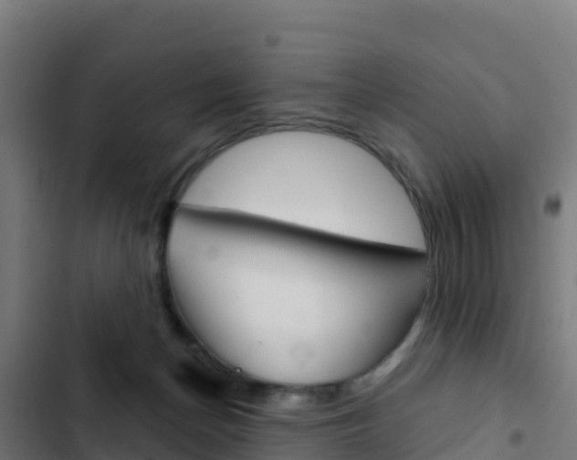 X0000103440174200809121110