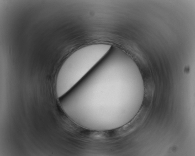 X0000103440175200809121110