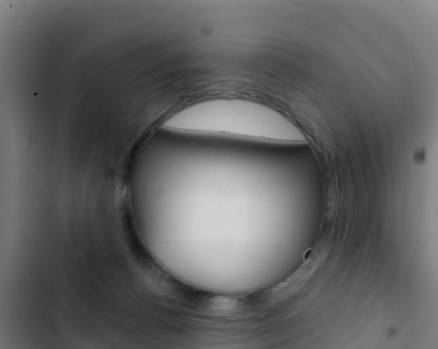X0000103440176200809121110