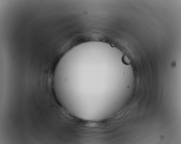 X0000103440177200809121110