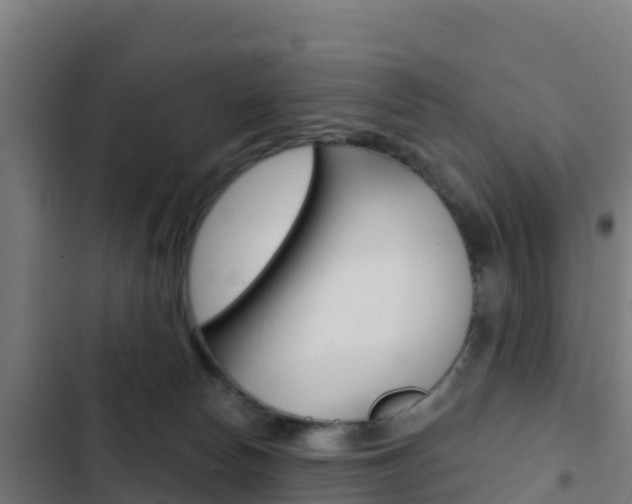 X0000103440178200809121110